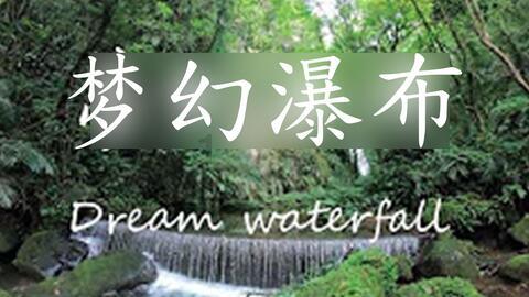豆娃的冒险故事壹